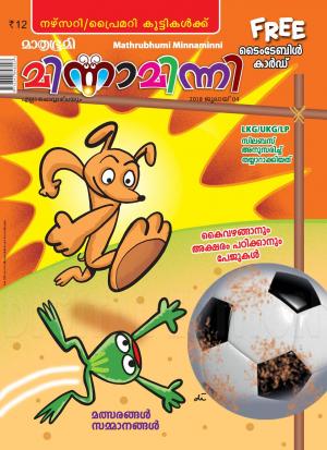 Minnaminni - 2018 July 4