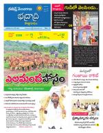 Bhadradri Kothagudem