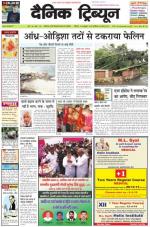 Dainik Tribune (Haryana Edition)