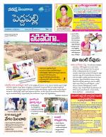 Peddapalli