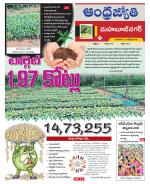 Mahabubnagar District