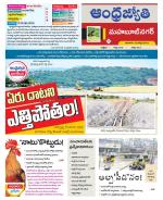 Mahabubnagar District