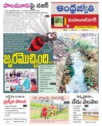 Mahabubnagar District