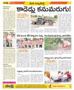 Hanamakonda Constituencies