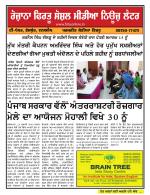 Firtu News