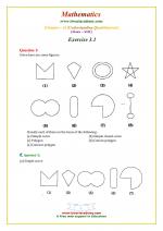 NCERT Solutions Class 8 Maths Exercise 3.1