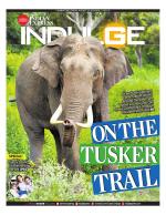 Indulge - Coimbatore