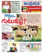 Mahabubnagar District