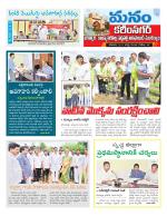 Karimnagar/siricilla/Jagityala