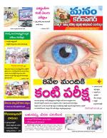 Karimnagar/siricilla/Jagityala