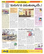 Mahabubnagar Constituencies