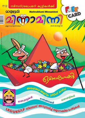 Minnaminni - 2018 August 29