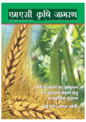 SEPTEMBER 2013 (Hindi Edition)