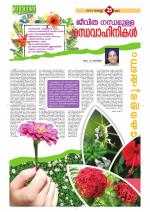 Keralabhooshanam Weekend Supplement