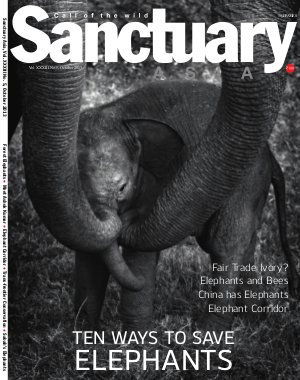 Sanctuary Asia October 2013