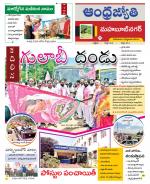 Mahabubnagar District