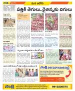 Kurnool Constituencies