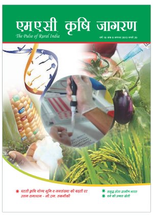 AUGUST 2013 (Hindi Edition)