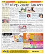 Krishna Constituencies