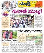 Adilabad District