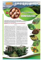 Keralabhooshanam Weekend Supplement