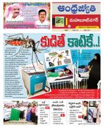 Mahabubnagar District