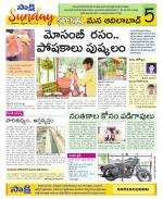 Adilabad Constituencies