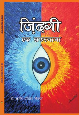 ZINDAGI EK SAFARNAMA