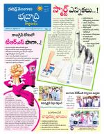 Bhadradri Kothagudem