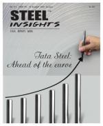 Steel Insights