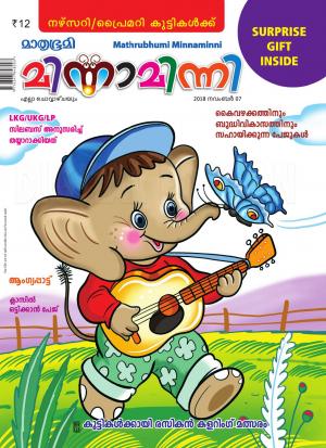 Minnaminni - 2018 November 7