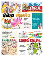 Karimnagar/siricilla/Jagityala