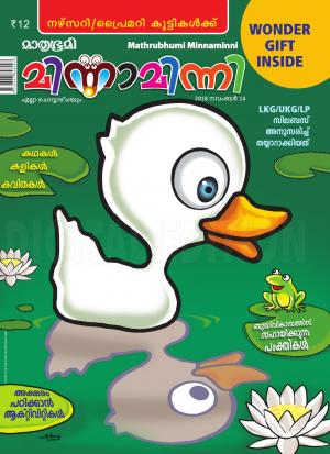 Minnaminni - 2018 November 14