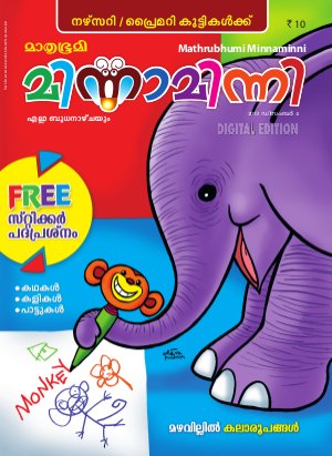 Minnaminni- 2013 December 4