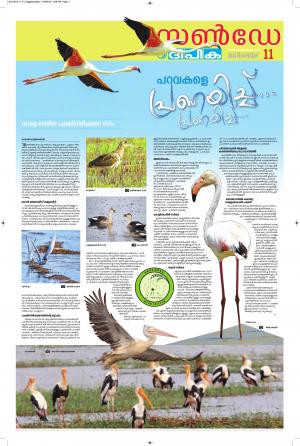 Sunday Deepika 11 November 2018