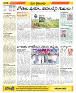 Krishna Constituencies