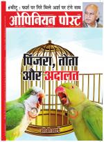 ओपिनियन पोस्ट