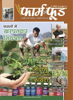 November Second 2018