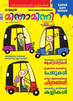 Minnaminni - 2018 November 28