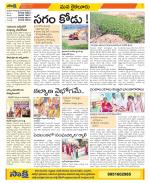 Krishna Constituencies