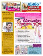 Karimnagar/siricilla/Jagityala