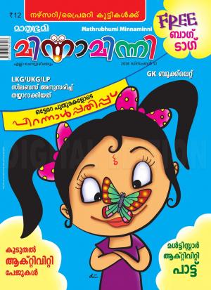 Minnaminni - 2018 December 12