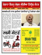 Firtu News