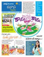 Bhadradri Kothagudem