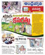 Wanaparthy District