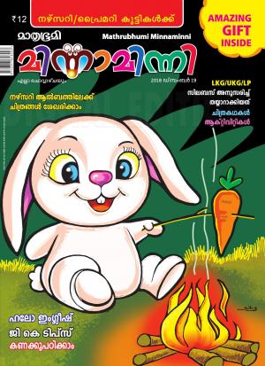 Minnaminni - 2018 December 19