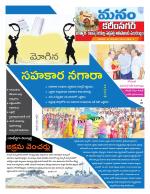 Karimnagar/siricilla/Jagityala