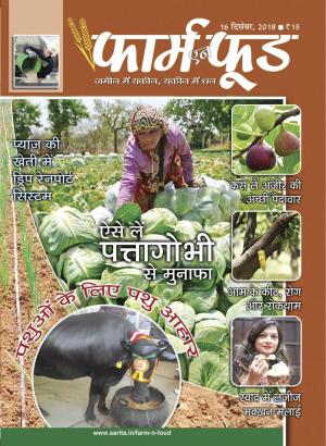 December Second 2018