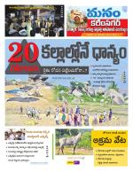 Karimnagar/siricilla/Jagityala