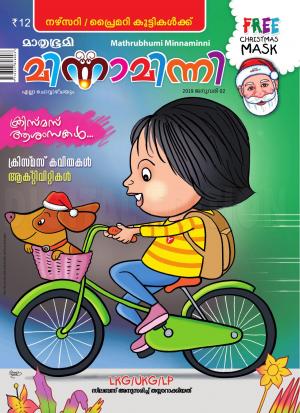 Minnaminni - 2019 January 2